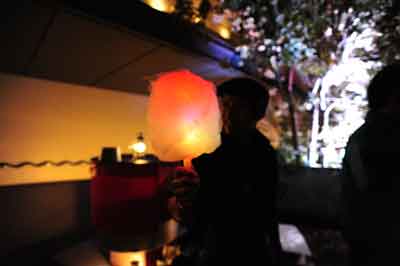 光るわたあめ とオオサンショウウオで利用